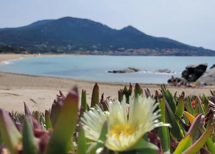Résidences Sopramare Algajola (Corsica)