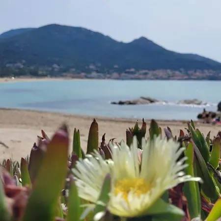 Residences Sopramare Algajola (Corsica)