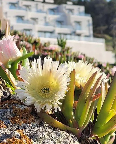 Lejlighed Residences Sopramare *